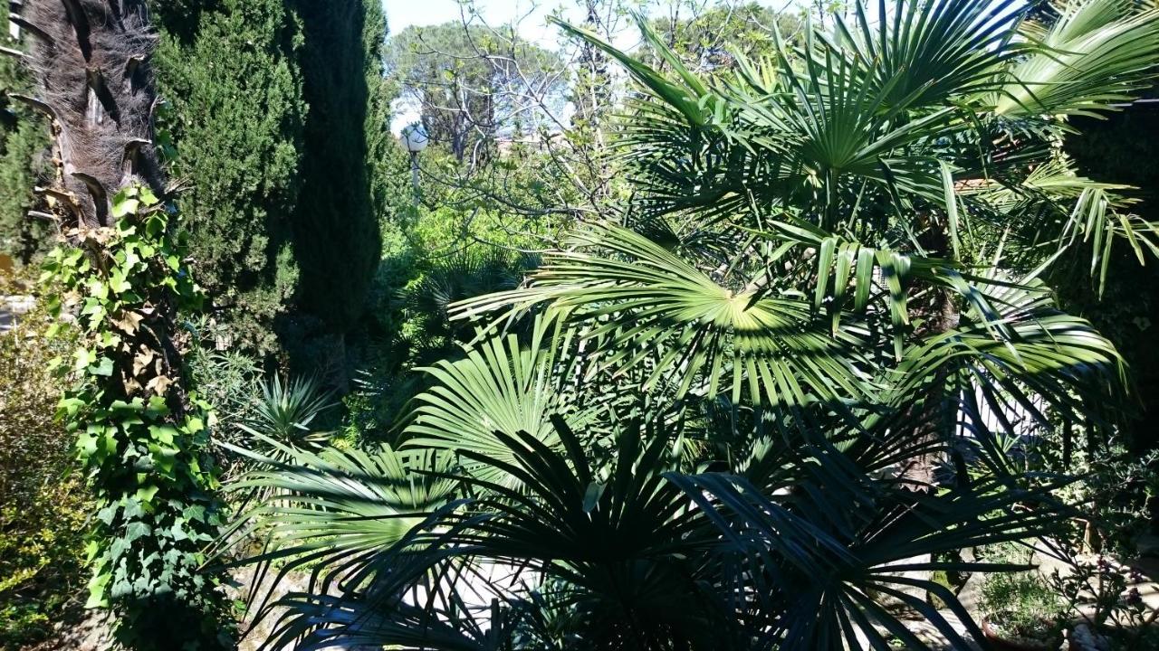 Guest House Korado Ρόβινι Εξωτερικό φωτογραφία